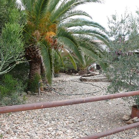Rooiklip Camp Flintstone Apartamento Exterior foto